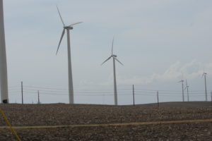 Wind turbines in southwest Minnesota. 